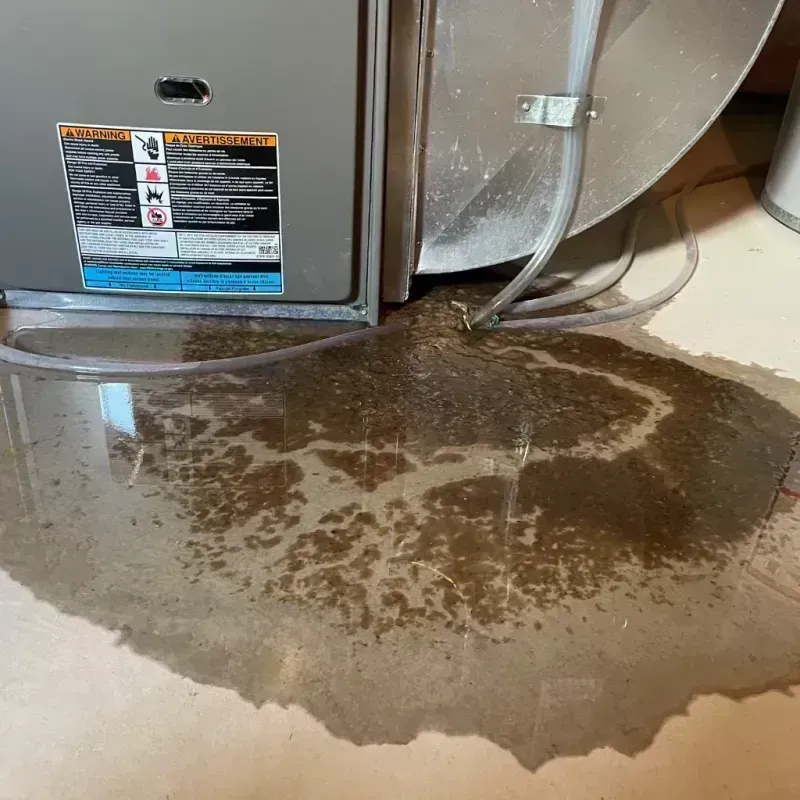 Appliance Leak Cleanup in Farmington, IL